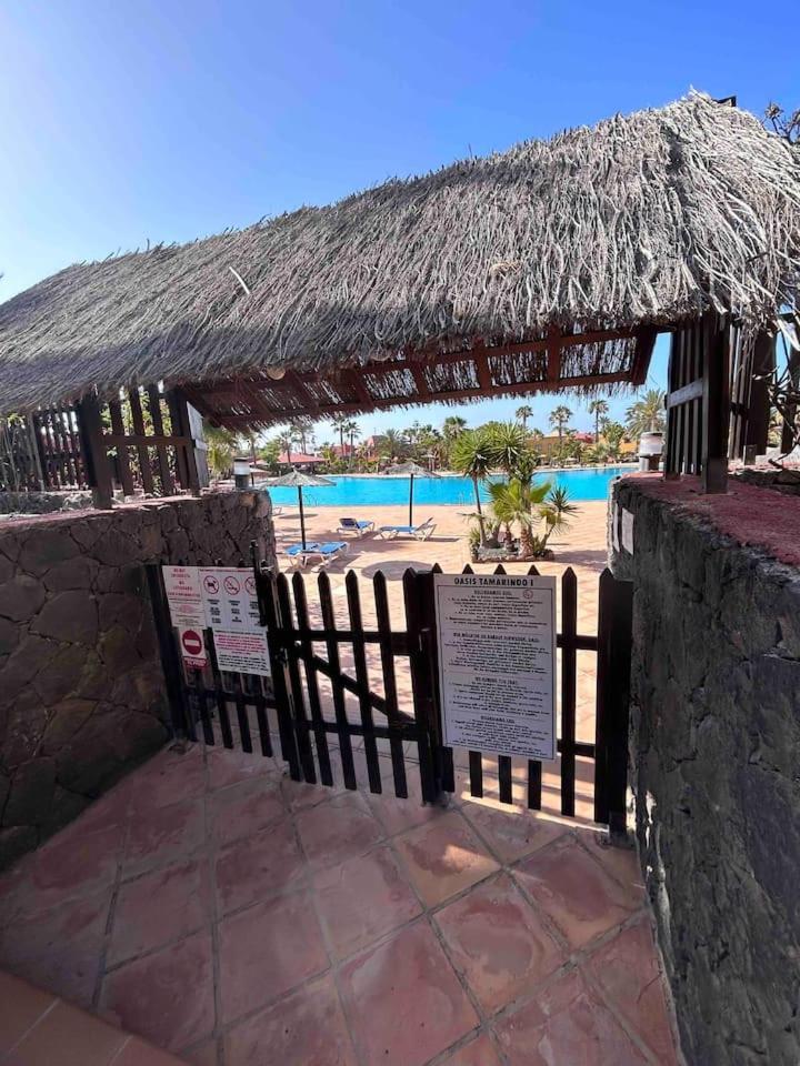 Sun & Sea Apartment In Corralejo Eksteriør billede