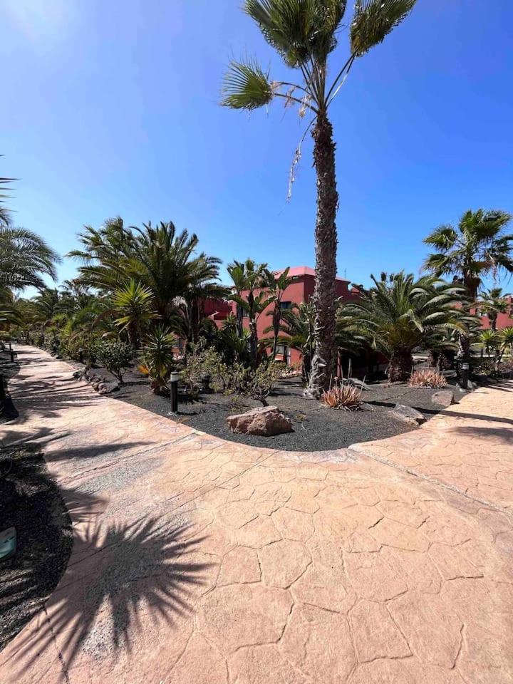 Sun & Sea Apartment In Corralejo Eksteriør billede