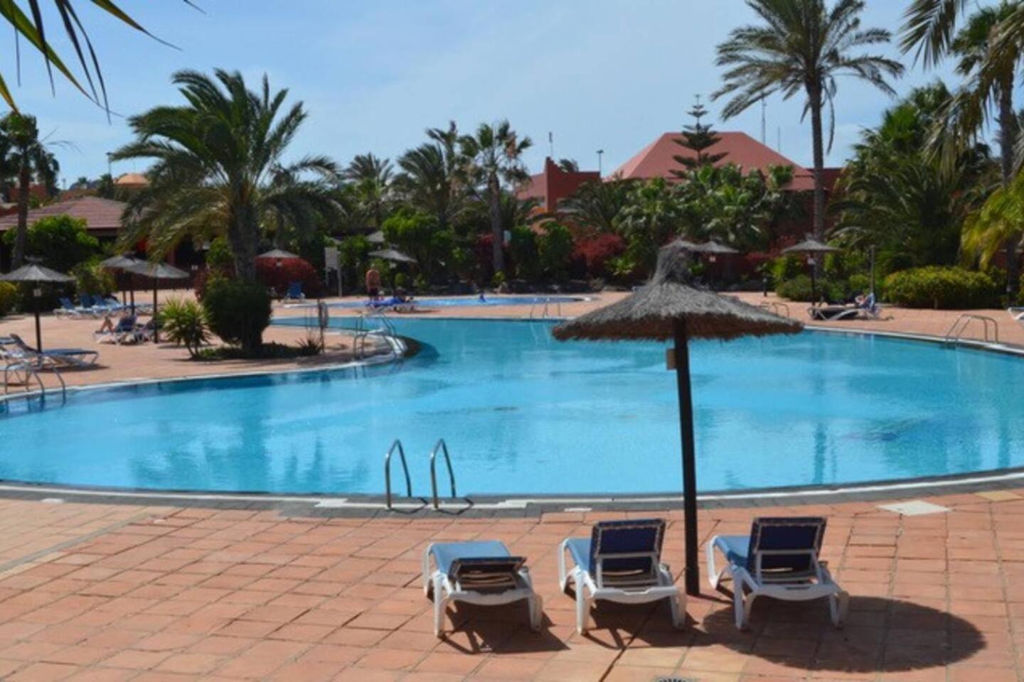 Sun & Sea Apartment In Corralejo Eksteriør billede