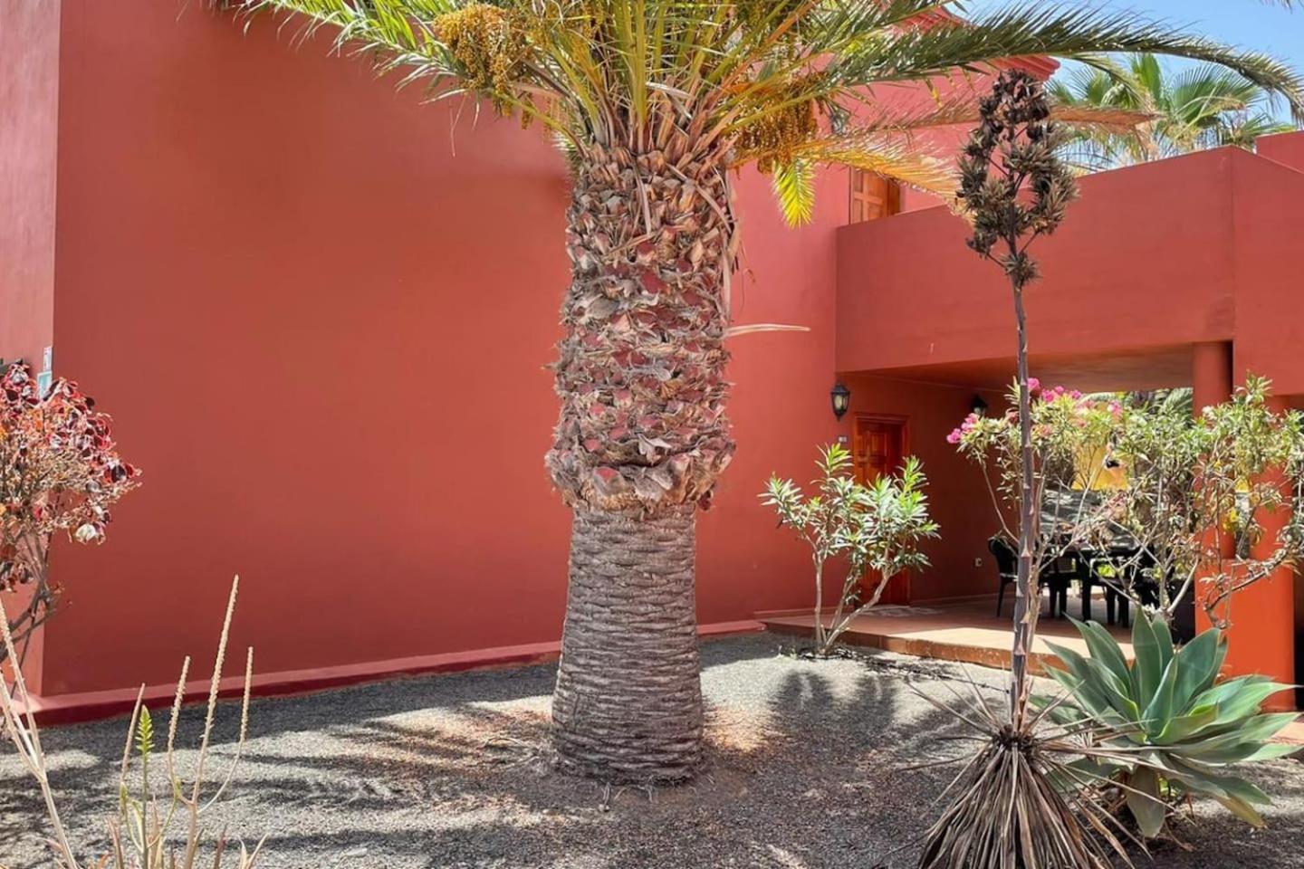Sun & Sea Apartment In Corralejo Eksteriør billede