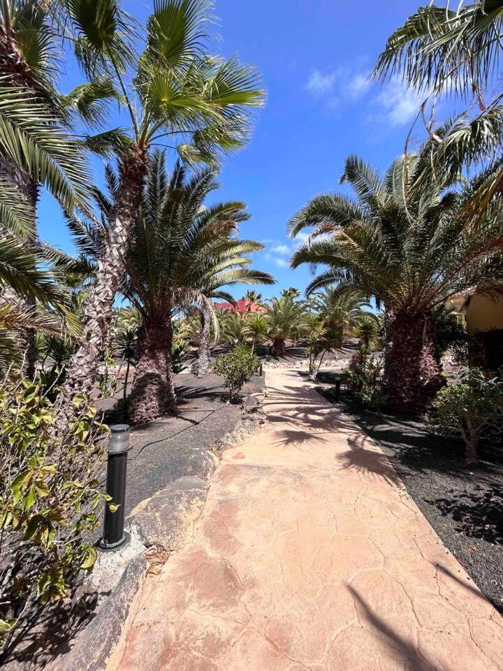 Sun & Sea Apartment In Corralejo Eksteriør billede